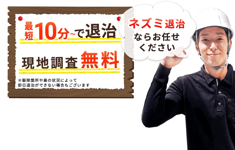 最短10分～で退治 現地調査無料