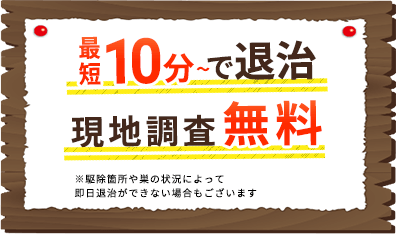 最短10分～で退治 現地調査無料