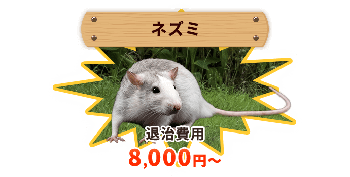 ネズミ 退治費用8,000円〜