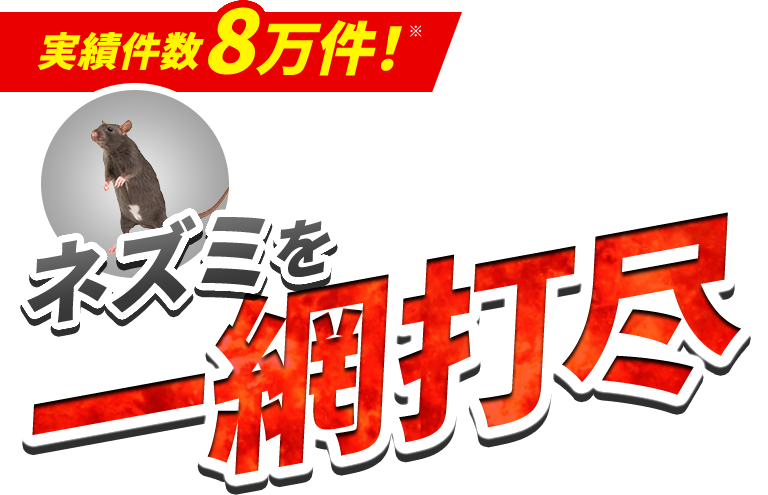 実績件数8万件！ネズミを一網打尽