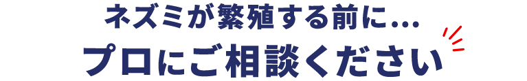 ネズミが繁殖する前に… プロにご相談ください