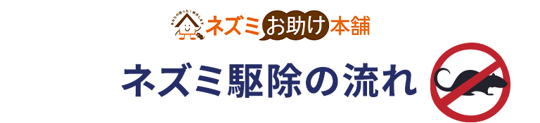 ネズミ駆除の流れ